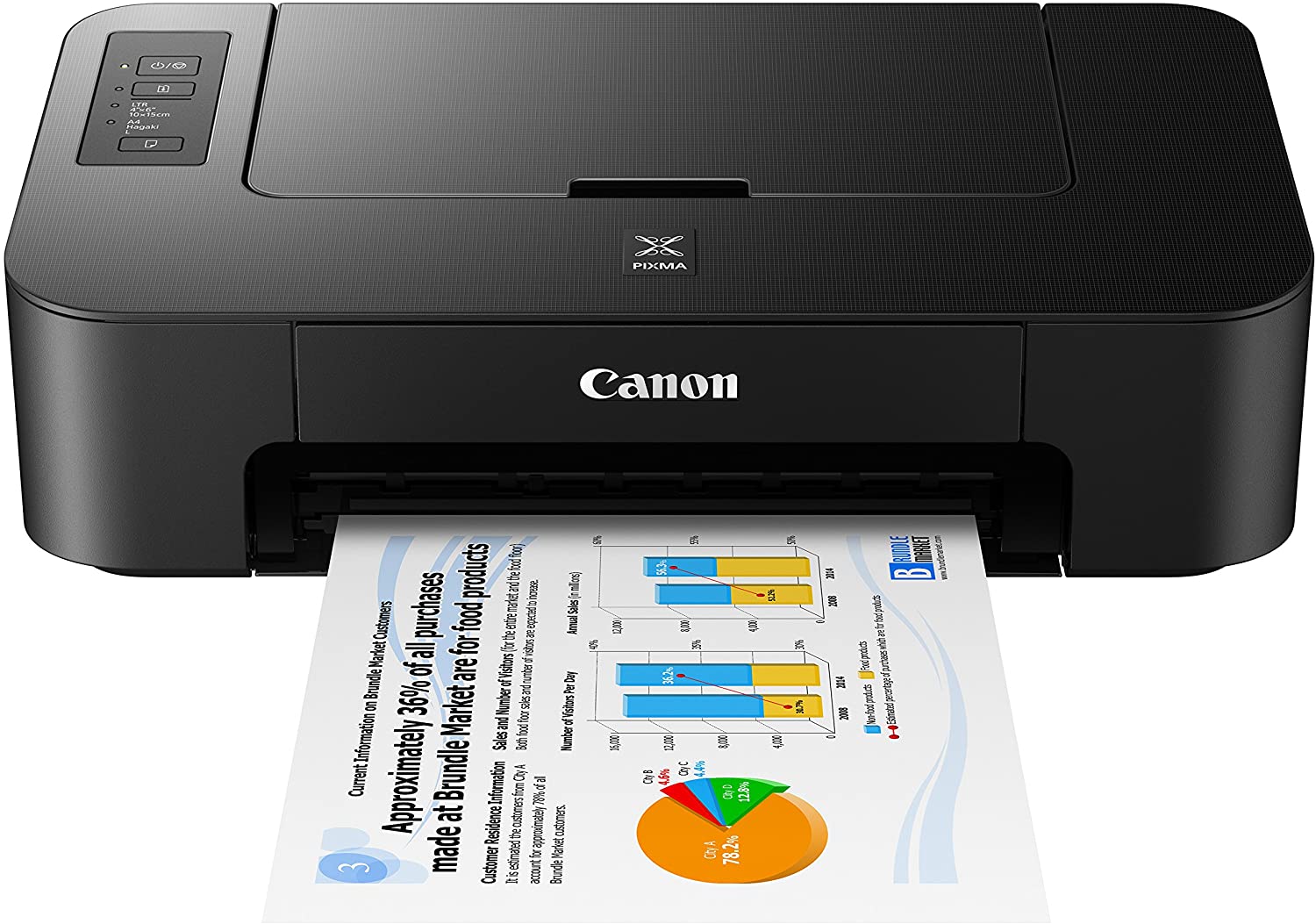 Canon TS202 Inkjet Photo Printer